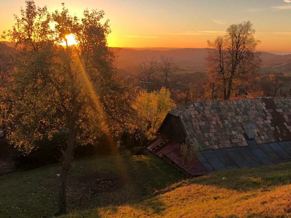 منزل الضيف Banská Štiavnica  في Libling Ruzovy المظهر الخارجي الصورة
